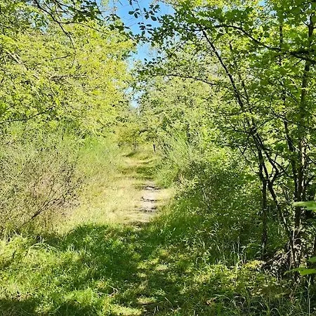 Le Relais Des Carriers 別荘 *